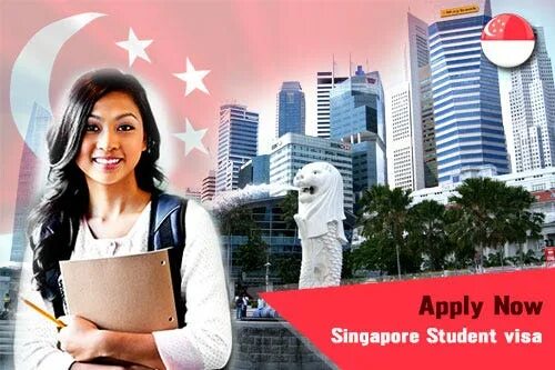 Apply visa singapore. Сингапур виза. Singapore visa application. Фото на визу сингапур. Сингапур виза.