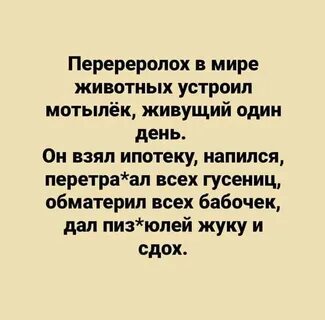 Живи как мотылек