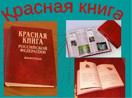 Международная красная книга рабочий лист 4 класс
