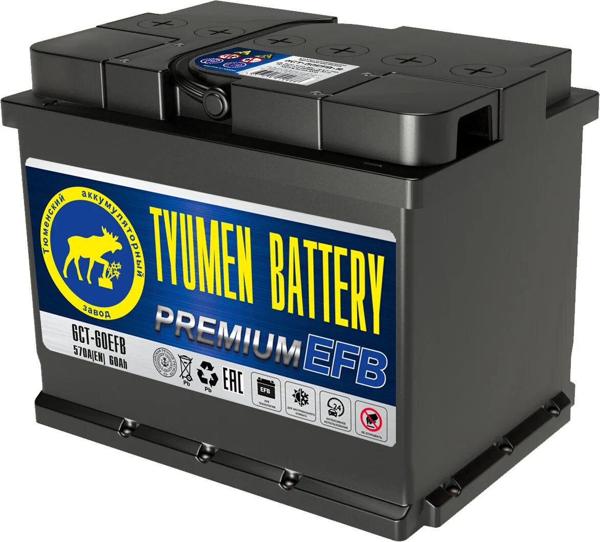 Аккумуляторные батареи тюмень. Аккумулятор Tyumen Battery Premium. Аккумулятор Tyumen 60. Аккумулятор Tyumen Battery Premium 60ah. Аккумулятор Tyumen Battery 60ah.