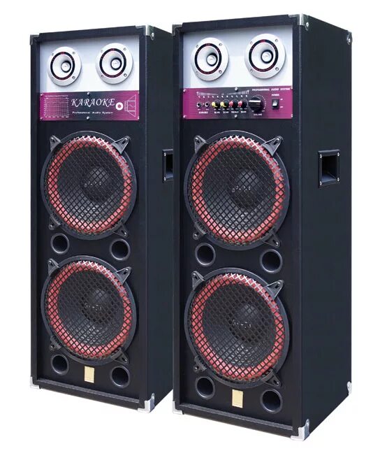 Big sub. Ascendo subwoofer. Колонки leissound double 10 inch hivi active speaker. Самый большой сабвуфер. Огромный сабвуфер.