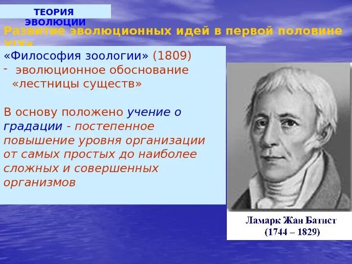 Первой эволюционной теорией является. Теория эволюции философия. Теория это в философии. Эволюционная теория философия. Философия зоологии.