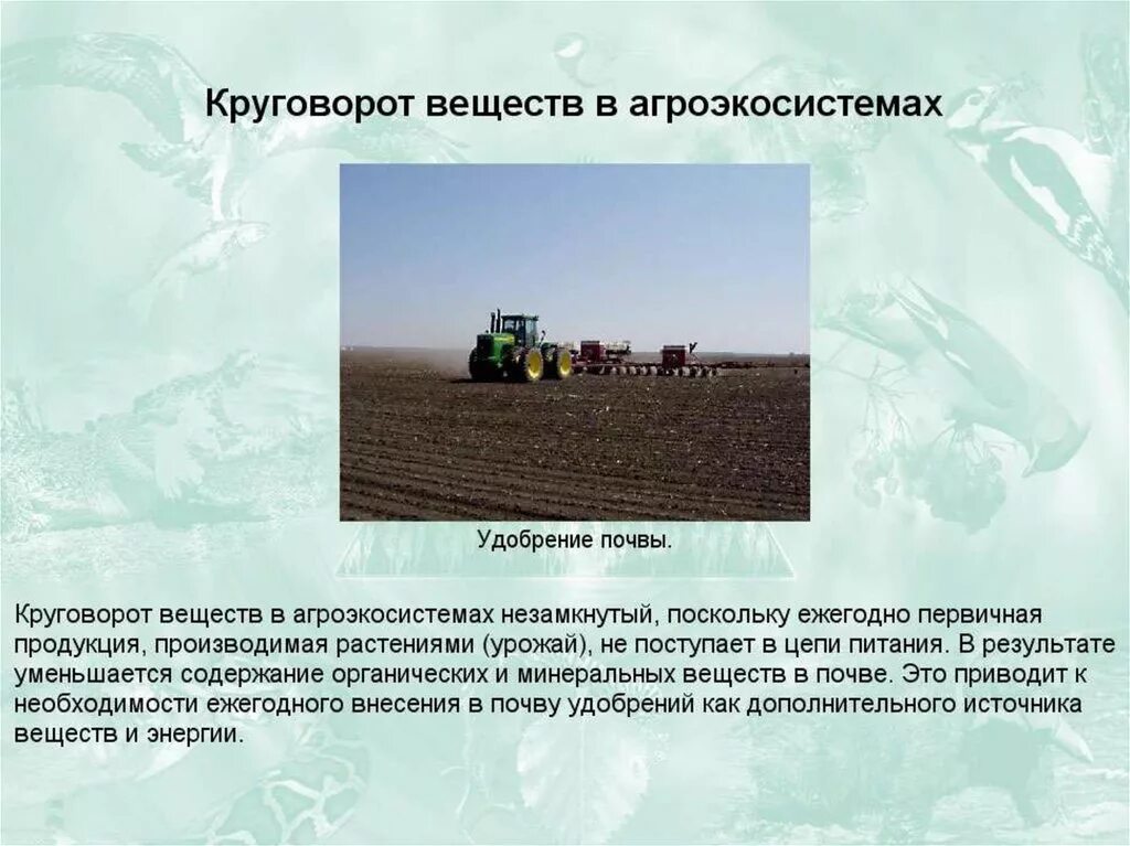 Искусственные сообщества 5 класс сообщение