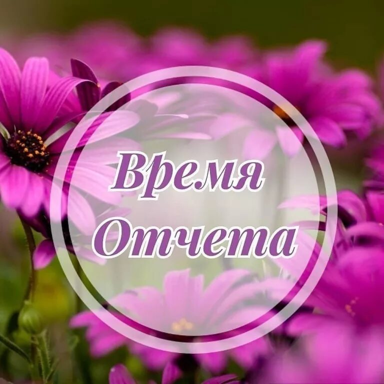 День благодарности отчет. Отчет картинка. Отчет надпись. Отчет спасибо за помощь. Отчёт о поступлениях картинки.