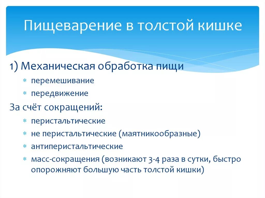 Пищеварение в толстой