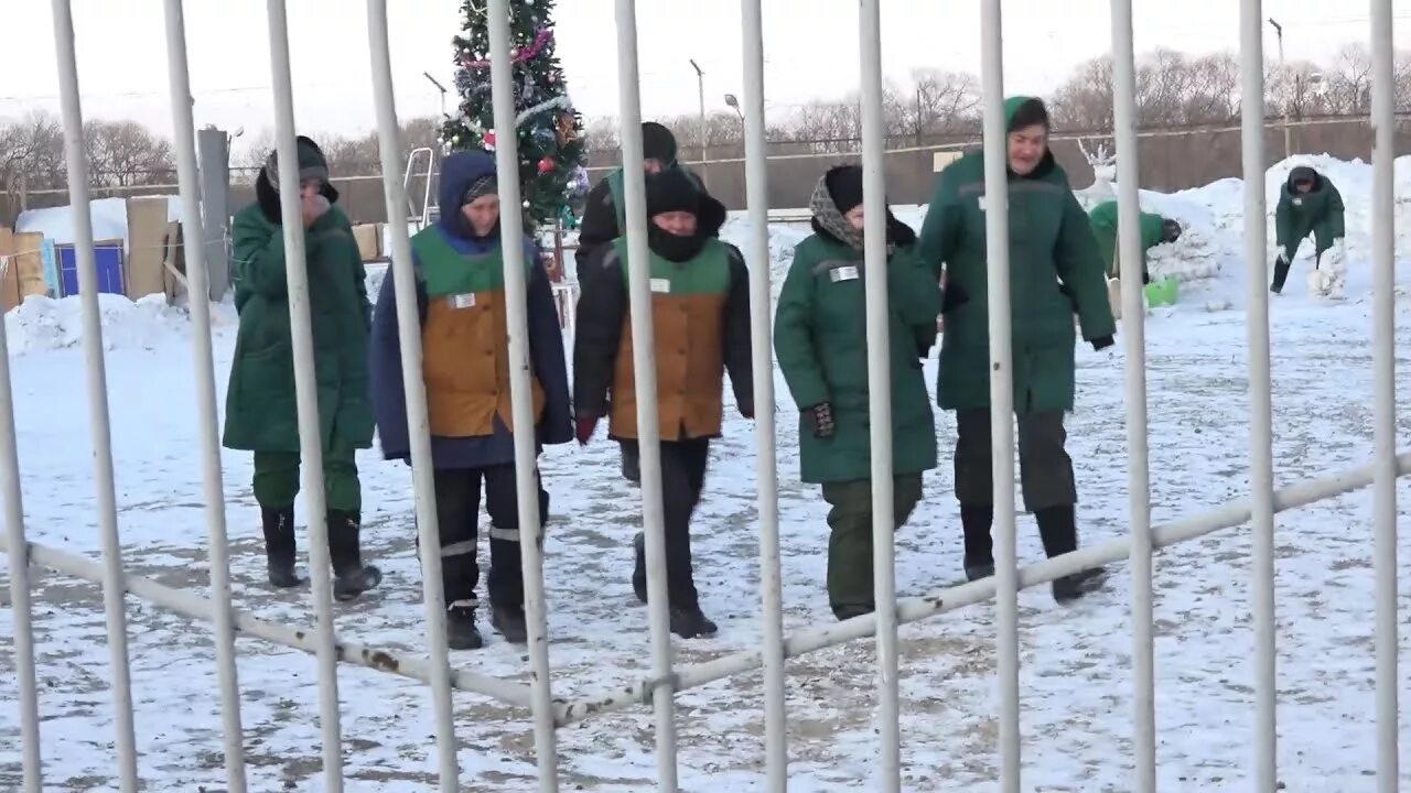 ИК-12 женская колония Хабаровск. Матвеевка женская колония Хабаровский край. Хабаровский край село Заозерное женская колония. Исправительная колония 13 Хабаровск. Тюрьма в хабаровском крае