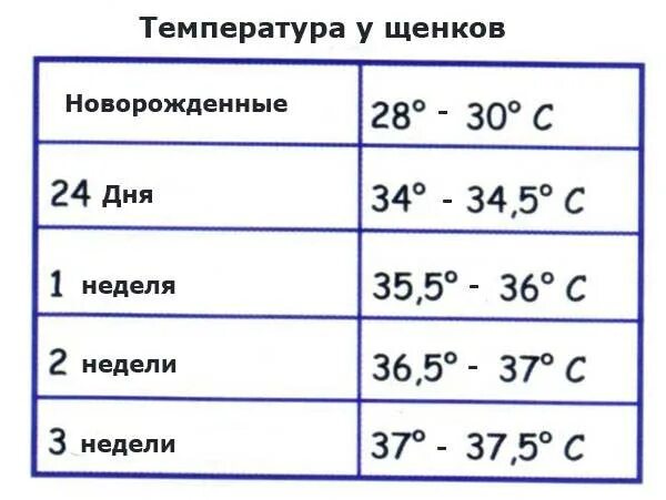 Норма температуры у собак мелких. Нормальная температура у щенка. норма температуры у новорожденных. нормальная температура у ребенка в 1.5 месяца. нормальная температура у ребенка в 1.5.