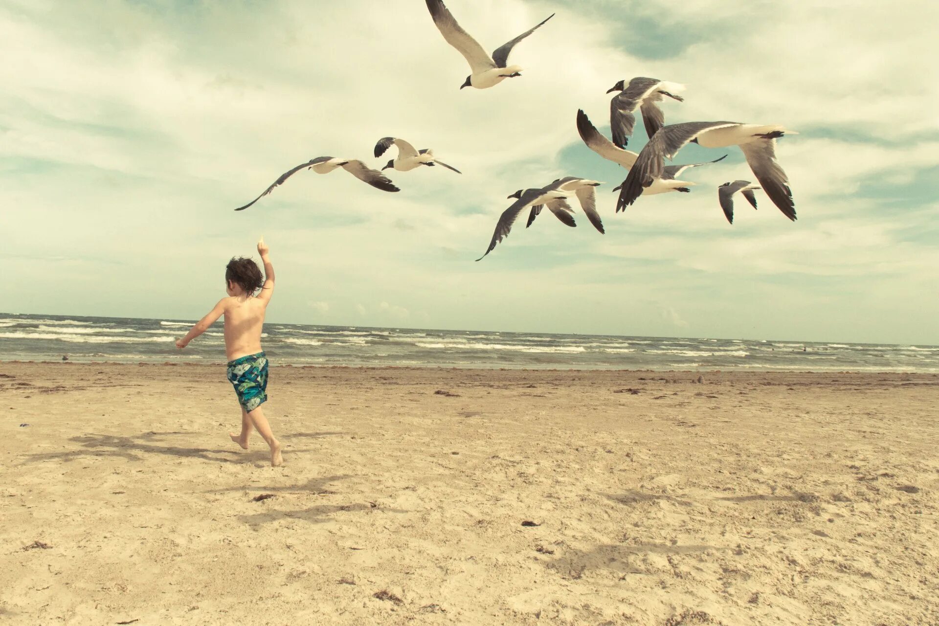 Дайте детям крылья и корни. Чайки на пляже. Море Чайки дети. Чайки и люди. Море птицы пляж.