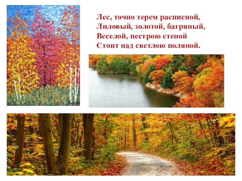 Веселой пестрою стеной. Лес точно Терем расписной. Лес точно Терем расписной лиловый. Лес точно Терем расписной лиловый золотой багряный весёлой. Лес точно Терем.