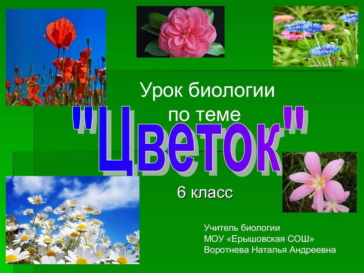 Цветок урок биологии 6 класс. Презентация по биологии 6 класс цветок. Цветочек по биологии 6 класс. Тема цветок биология 6 класс. Тема по биологии растения города