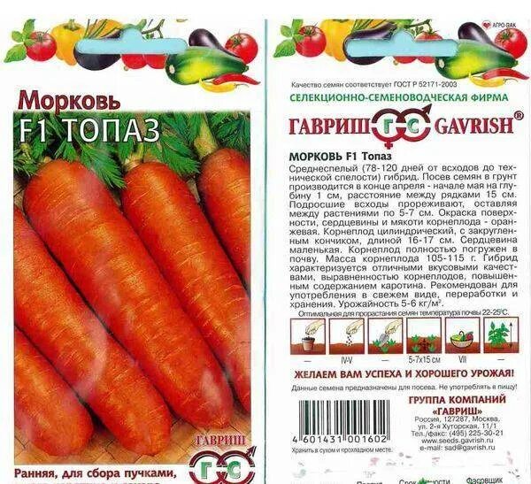 Морковь семена лучшие сорта для открытого. Сорта раннеспелой моркови для Урала. Морковь семена лучшие сорта для открытого грунта. Морковь семена лучшие. Семена моркови лучшие для Урала.