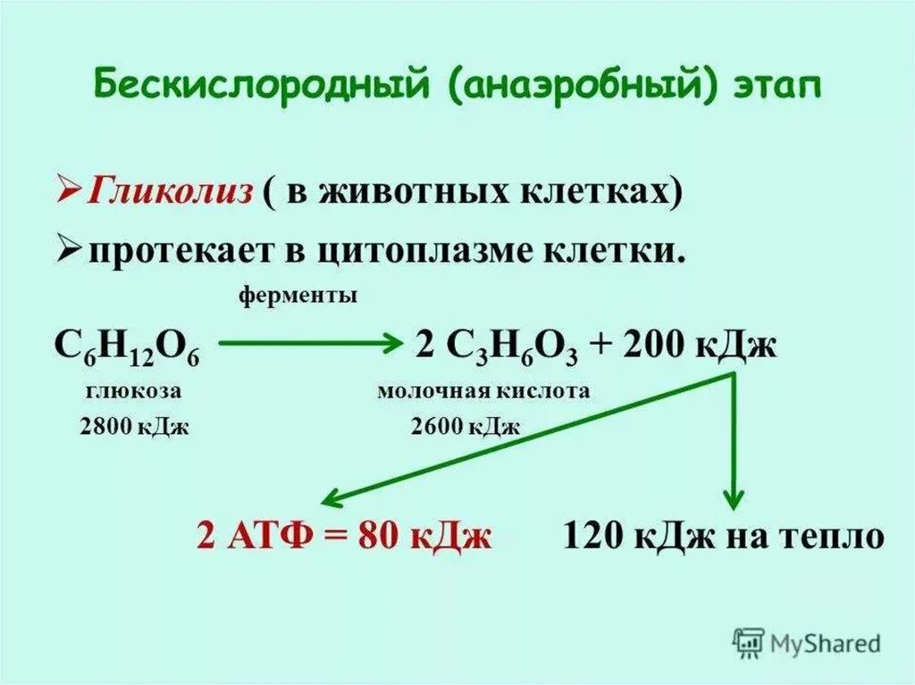 Расщепление атф какой фазе. Бескислородный этап гликолиз энергетического обмена. Аэробный и анаэробный гликолиз схема. Бескислородный этап энергетического обмена схема. Кислородный этап энергетического обмена схема.