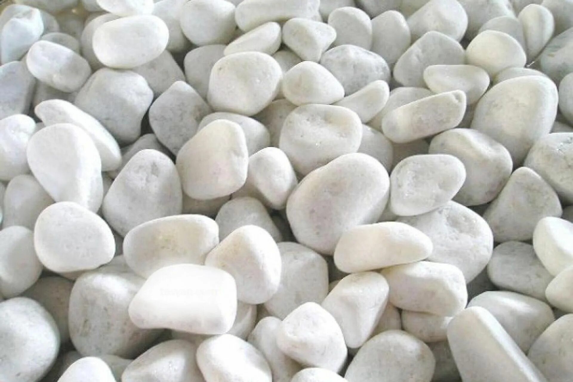 Включи камень 9. Декоративный камень белый. Большой белый камень. Крупные белые камушки. Камень белого огня.