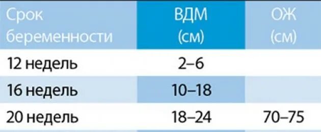 Окружностььживота по нелеоям. Ож норма по неделям. Обхват живота по неделям беременности. Окружность живота на 30 неделе беременности норма. 36 недель окружность