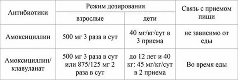 Сколько раз пить амоксициллин