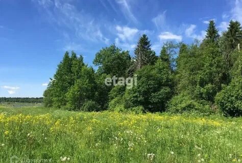 Заостровье ленинградская область ломоносовский