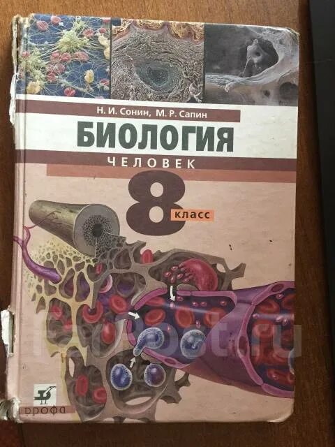 Биология 8 класс т. Сонин н.и., Сапин м.р. биология. Человек. 8 Кл.. Биология 8 класс и.и. Сонин, м.р. Сапин. Биология 8 класс учебник Сонин. «Биология. Человек», Сонин н.и., Сапин м.р..