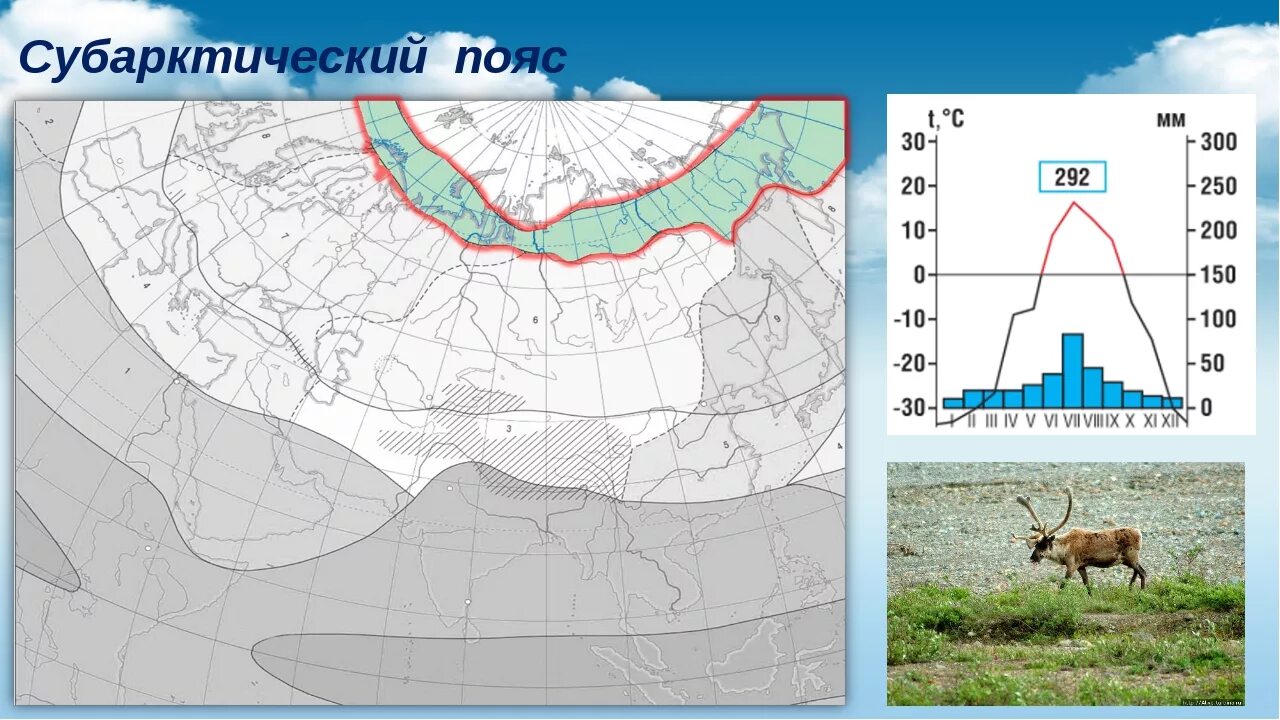 Территория полярного климата. Субарктический климатический пояс Евразии. Субарктический климатический пояс России. Климатограмма субарктического климата России. Климатограмма субарктического пояса Евразии.