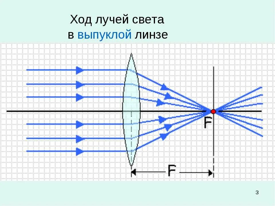 Собирающая линза в качестве лупы дает изображение