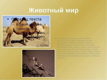 Стихи фрагменты произведений о полупустыне или пустыне