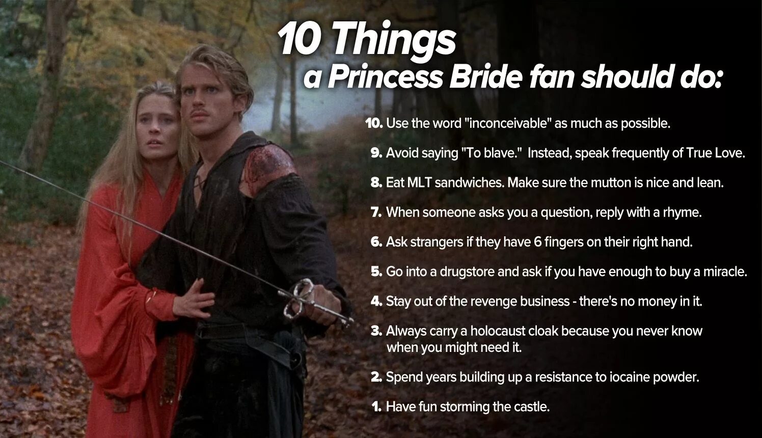Should you wish. Принцесса невеста крыса. the princess bride. princess bride book. as you wish перевод.