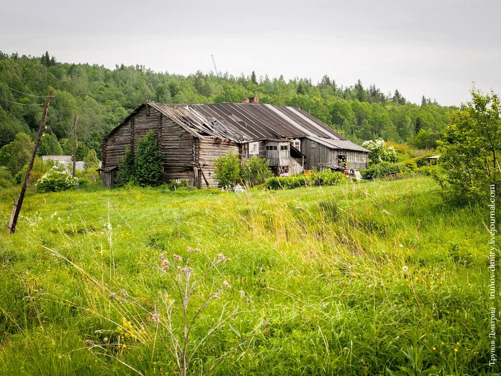 куда можно в деревне. пегрема деревня в карелии. заброшенные деревни карелии. заброшенные деревни россии сибири и урала. деревенский домик.