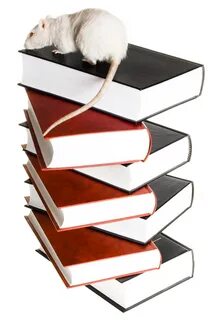 Книга белого кота
