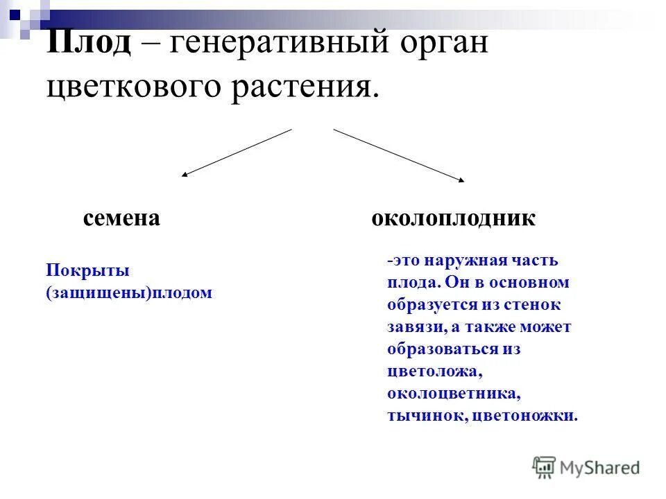 Генеративный период