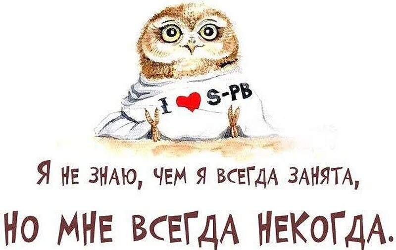 Сильно занят. Картинки с совами прикольные с надписями. мне некогда. мне некогда прикольные картинки. я всегда занята.