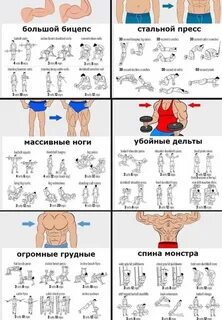 10 упражнений на все группы мышц
