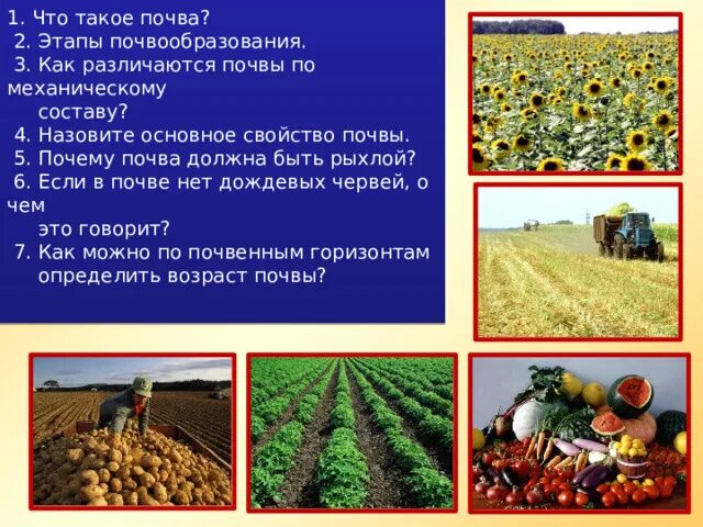 Как называется основное свойство почвы. Назови главное свойство почвы. вопросы по образованию почв и их разнообразию. здоровая почва должна быть. почему почва должна быть рыхлой.
