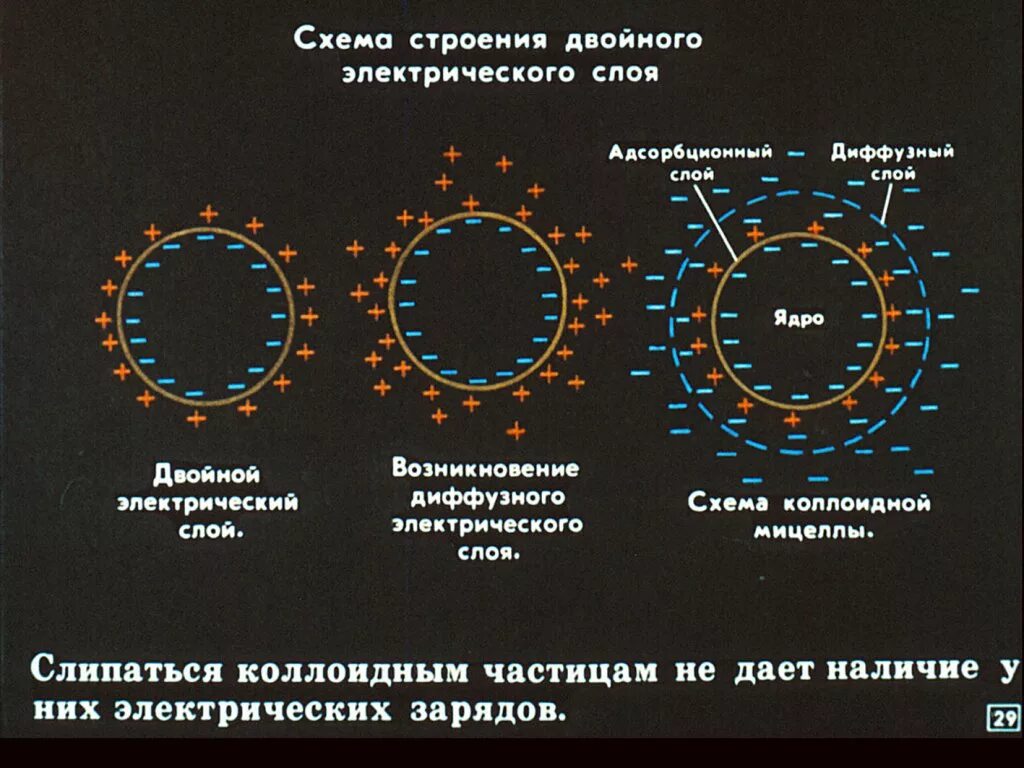 Двойственное строение 7. Строение двойного электрического слоя мицеллы. строение двойного электрического слоя коллоидной частицы. мицелла, двойной электрический слой, ζ-потенциал..