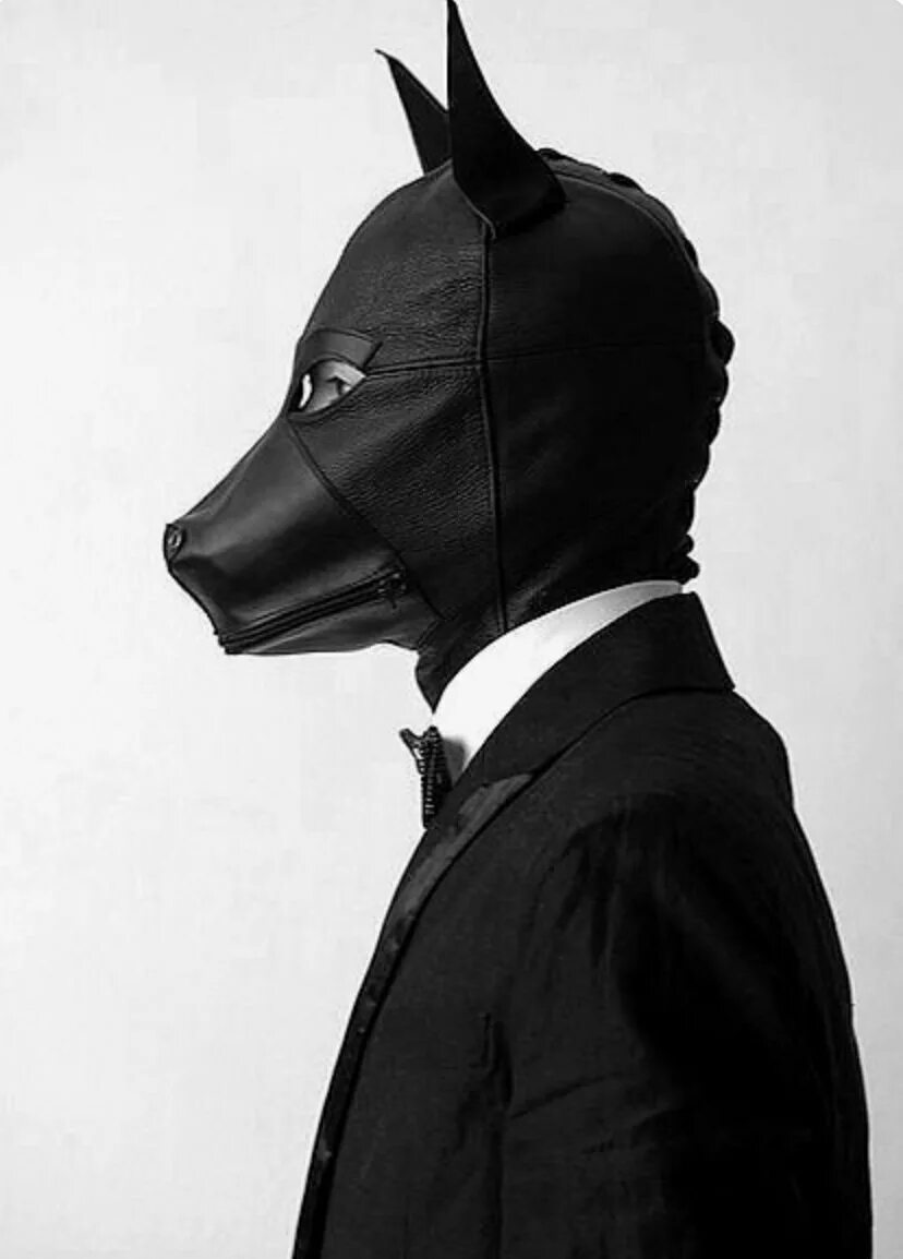 Кто в маске щенка 5. Маска собаки кожаная. Мужская маска собаки. Человек в маске собаки. Кожаная маска волка.