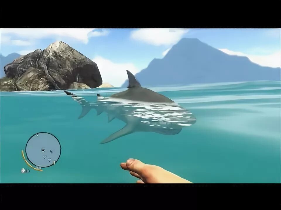 Far cry 3 акула. Far cry акула. тупорылые акуллв ыар край 3.