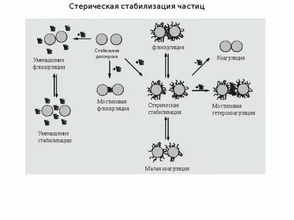 Пав на английском