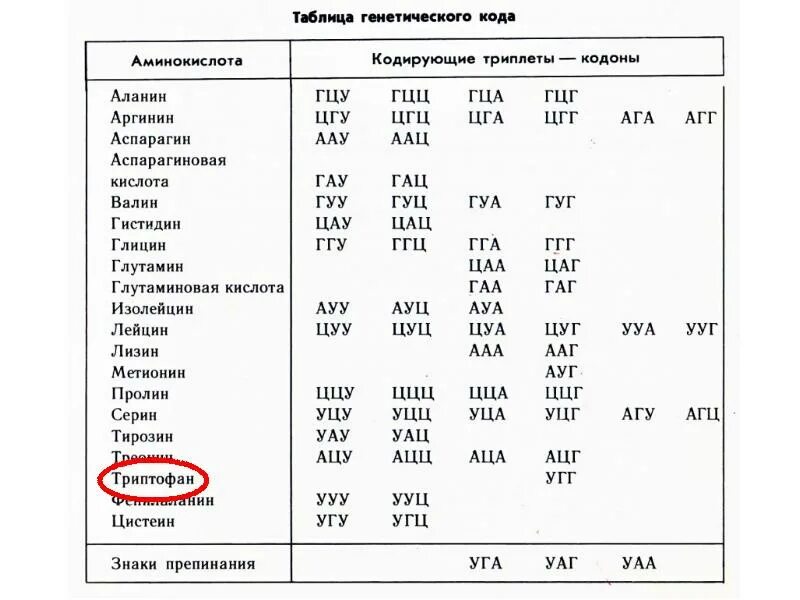 Варианты триплетов