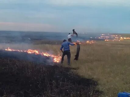 Степные пожары в пермском крае