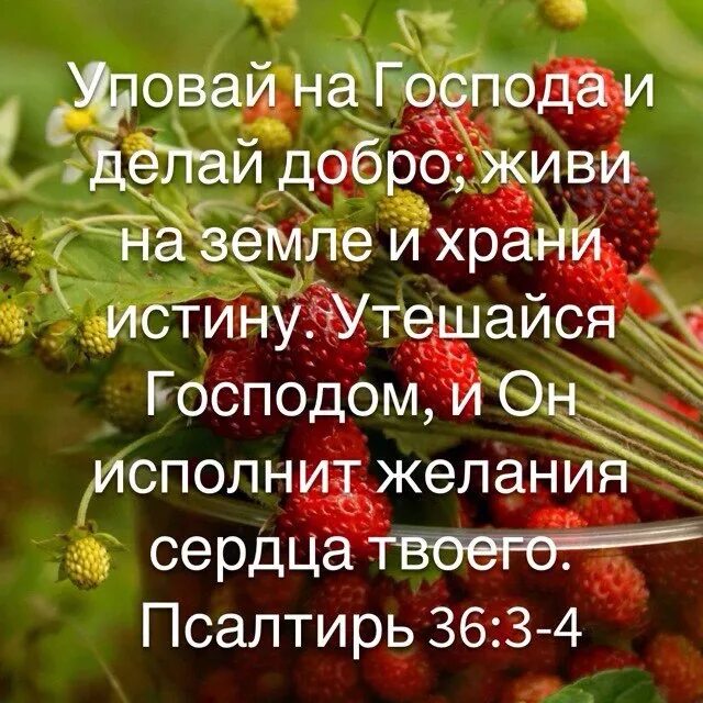 Господь исполняет желания сердца. Утешайся господом и он исполнит желания. утешайся господом и он исполнит желания сердца. уповай на господа и делай добро живи на земле и храни истину. уповай на господа и делай добро.