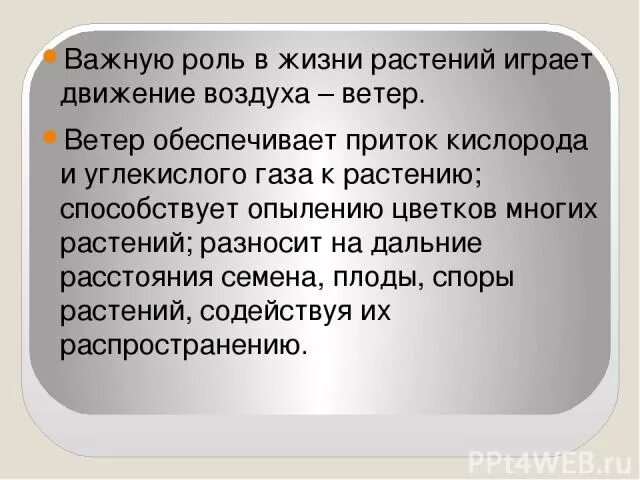 Значение ветра в жизни растений. Значение ветра для растений. Роль ветра в жизни растений и животных. Какую роль играет ветер в жизни растений.