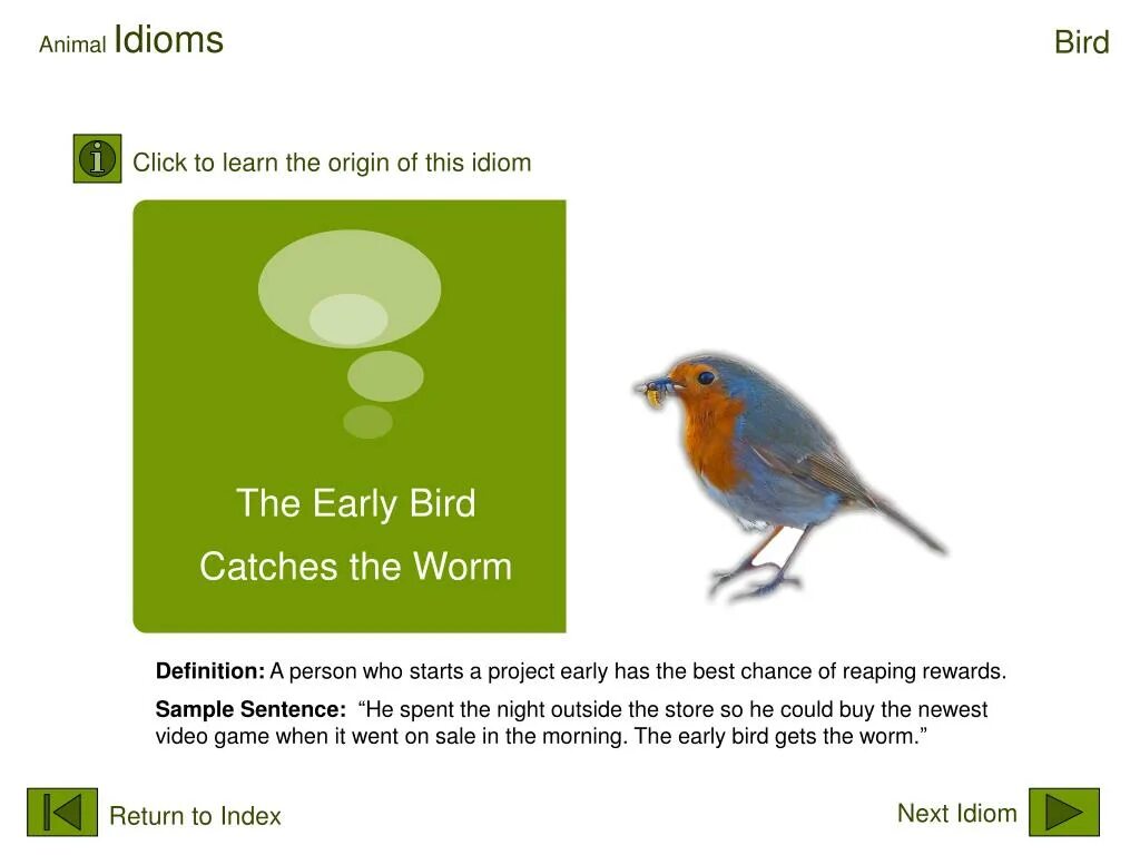 I a bird перевод. Early Bird идиома. The early Bird catches the worm. The early Bird catches the worm meaning.