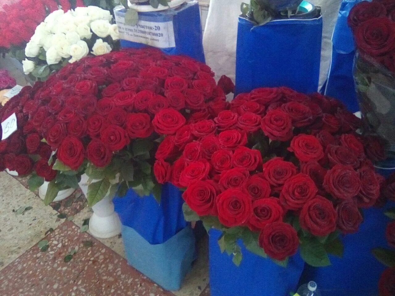 Мокшанские розы. Розы Центральный рынок. Цветочный рынок Пенза. Центральный рынок Пенза цветы. Купить букет в пензе