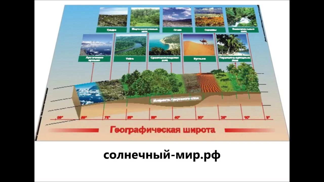 Изучите рисунок изменения растительности от экватора. Изменение растительности от экватора к полюсам. Изменение природных зон от экватора к полюсам. Смена природных зон от экватора. Смена природных зон оттжкватора к полбсам.