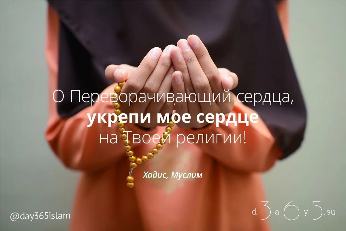 Я муколлибал кулуб соббит колби ала диник. О укрепляющий сердца укрепи мое сердце. Храни аллах моего мужа. Самое частое дуа пророка. О переворачивающий сердца укрепи мое сердце на твоей религии.