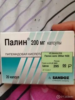 Палин палина