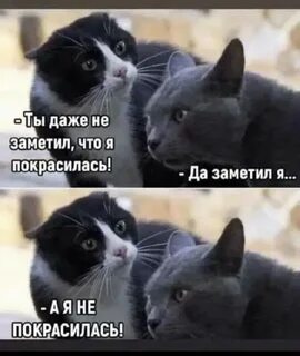 Она не заметила как