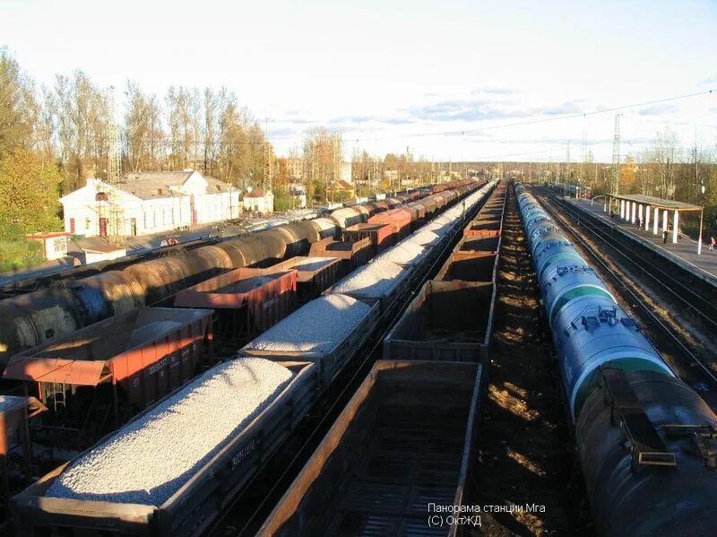 П мга. Посадниково ленинградская область. Поселок мга ленинградской области. Мга станция мост. П мга.