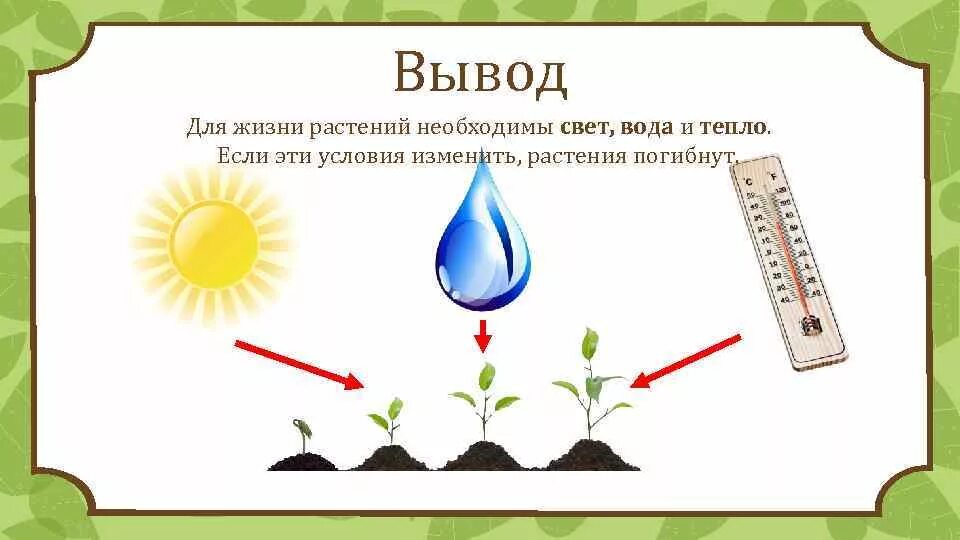 Все необходимые условия по данной. Условия роста растений. Условия необходимые для роста растений. Схема роста растения. Условия роста и развития растений.