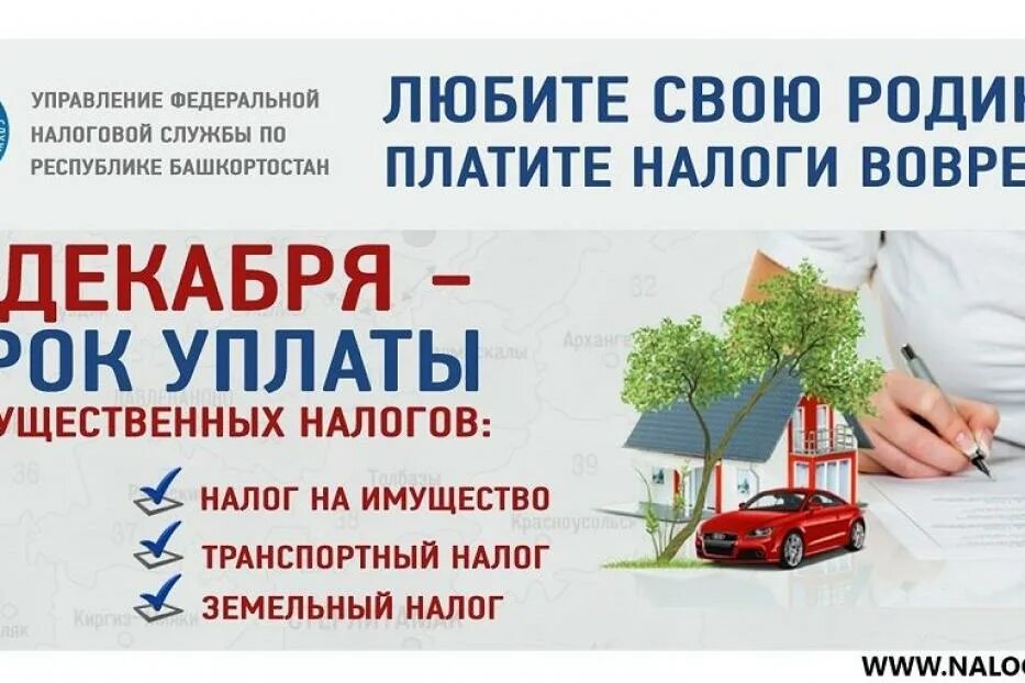 Срок уплаты налога на землю в 2025