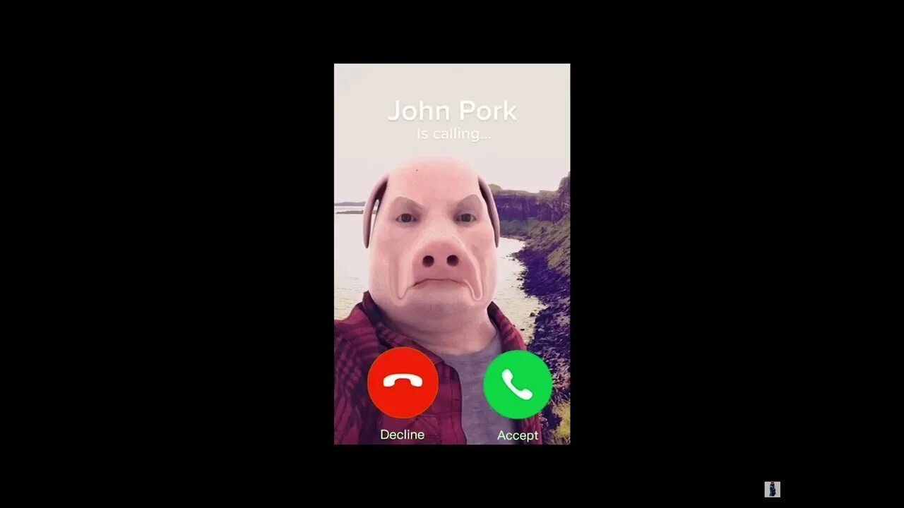 John pork calling. свинья джон порк. кто такой джон порк. свинья джон порк. джордж порк.