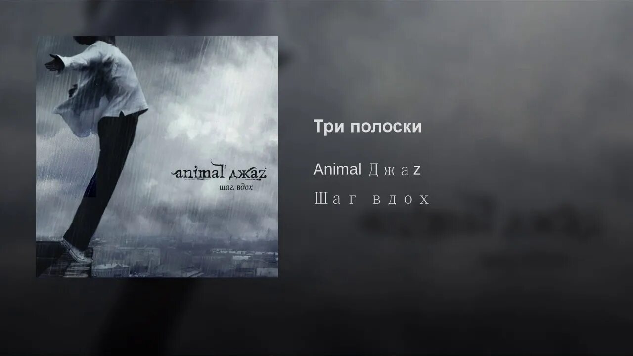 Анимал джаз альбом шаг вдох. Энимал джаз вдох выдох. Три полоски animal ДЖАZ. Энимал джаз три полоски альбом. Три полоски давай